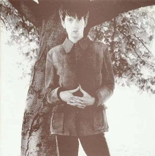 Pulp