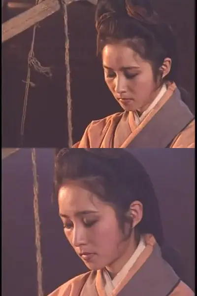 赵心田