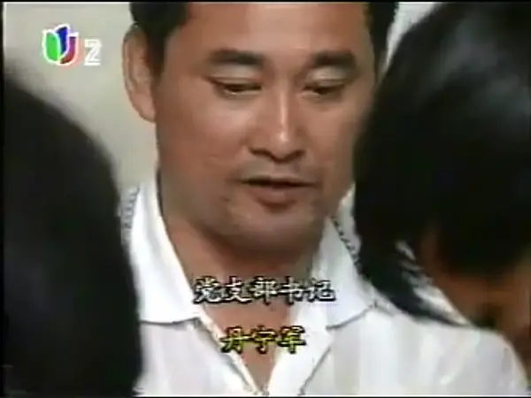 丹宁军