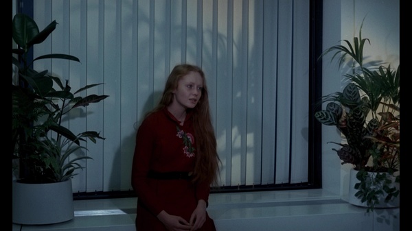 Dominique Journet