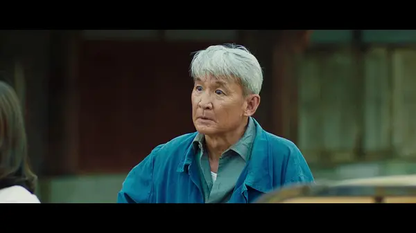 帕尔梅吉·诺亚姆