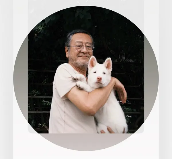 北岛靖