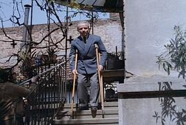 Dragoljub Aleksic