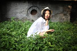黄璐