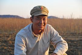 杨冬