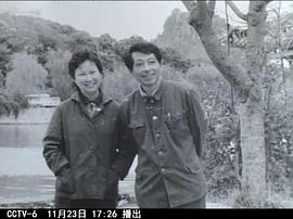 陆小雅