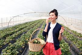 戴娇倩