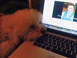 托马斯·李·布莱德格鲁姆