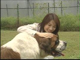 袁彩云