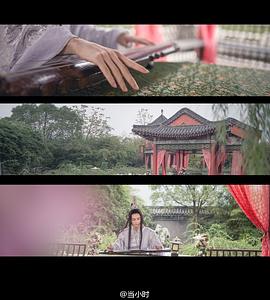 小小白