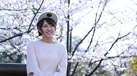高桥南
