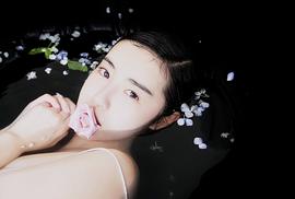 张辛苑