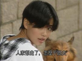 陈松伶