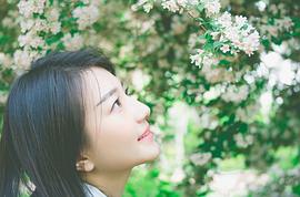白卉子