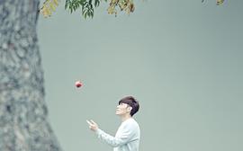 杨宗纬