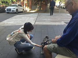 孔晓振
