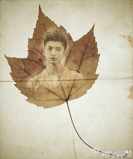 张云龙