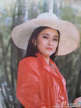 麦文燕
