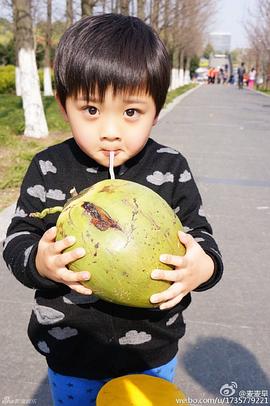 彭子苏