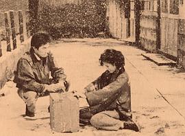 真田广之
