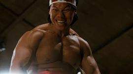 杨斯