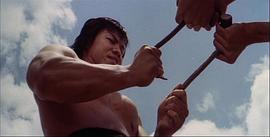 杨斯