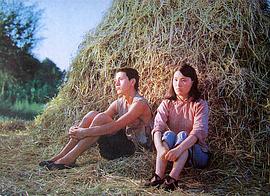 吴若甫
