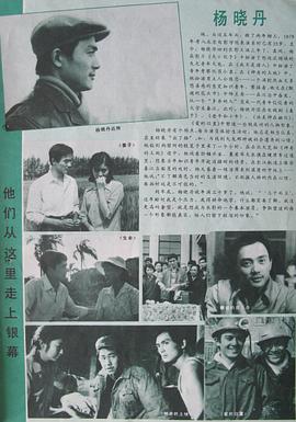 杨晓丹