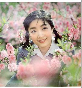 张闽