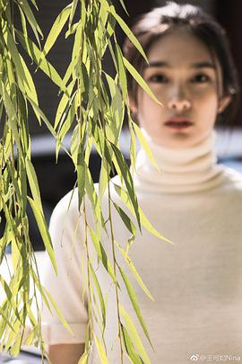 王可如
