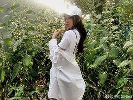 王可如