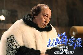 倪大红