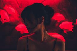 彭静