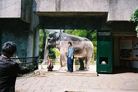 渡边大知