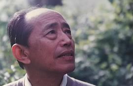 朱旭