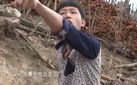 王境泽