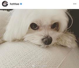 黄子韬