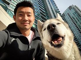 刘思慕