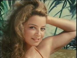 Sheila Kennedy