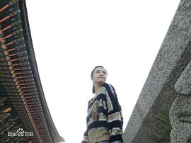 王莉莉