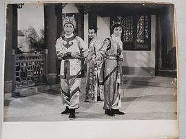 石坚