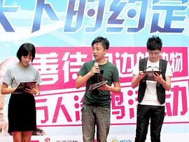 杨雯雯