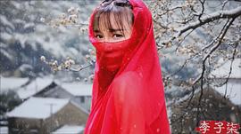 李子柒