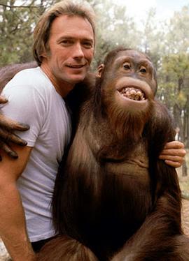 Manis the Orangutan