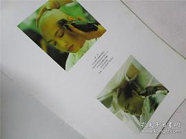 苏亿菁
