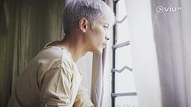 陆骏光