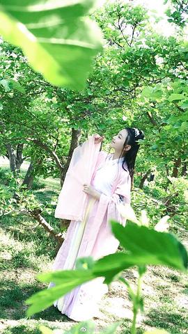 贾念莹