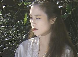 高树澪