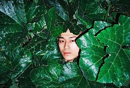 杨羽