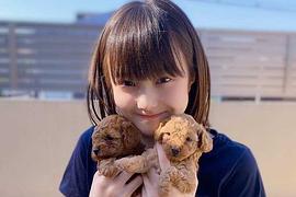 本田纱来